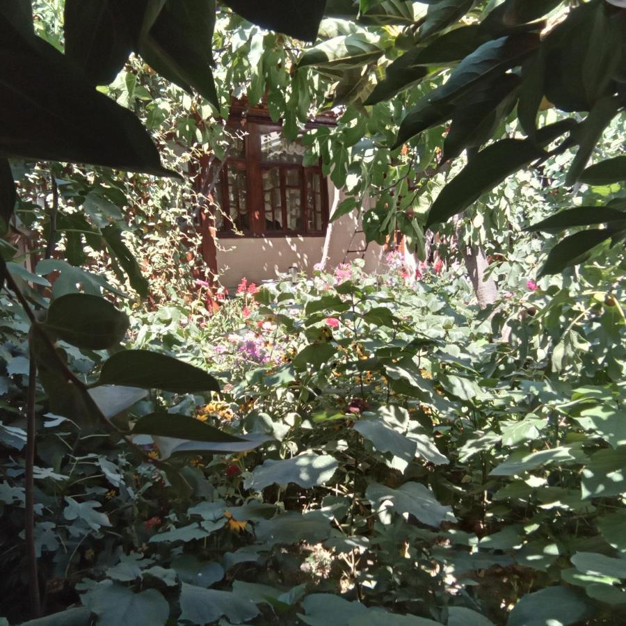Lovely Home For You Och Extérieur photo